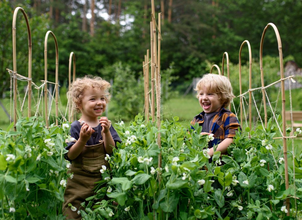 Portrait of two small children in vegetable garden, sustainable lifestyle concept.